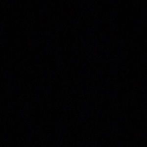 Meet your Posher, Bill